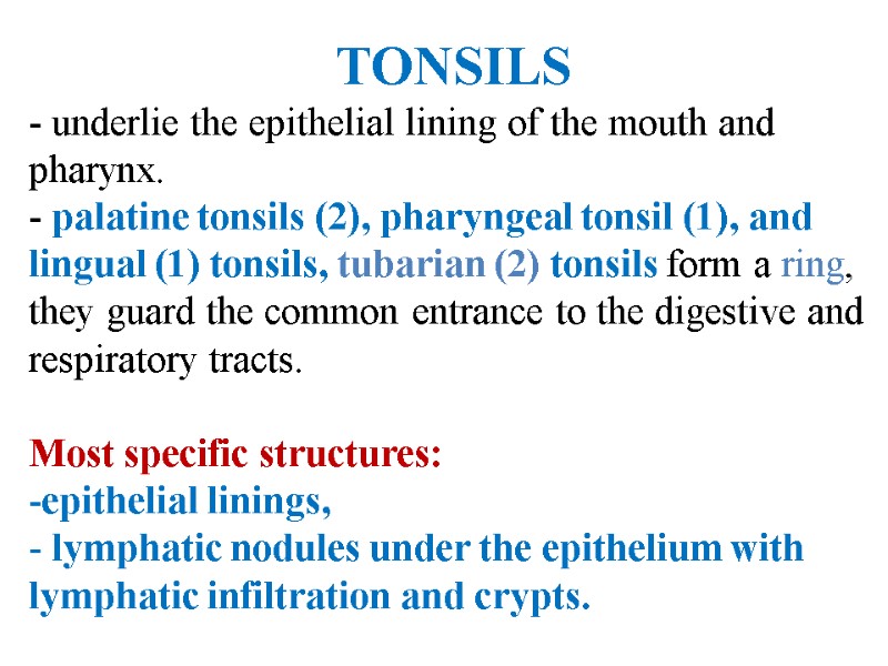 TONSILS  underlie the epithelial lining of the mouth and pharynx.   palatine